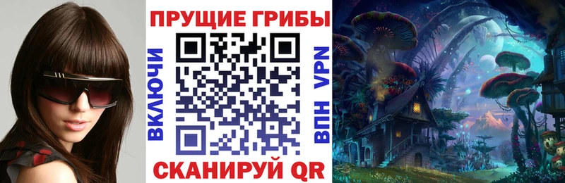 где купить наркоту  Тверь  KRAKEN рабочий сайт  Псилоцибиновые грибы мухоморы 